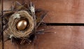 A golden nest egg Royalty Free Stock Photo