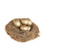 Golden Nest Egg Royalty Free Stock Photo