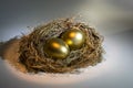 Golden Nest Egg Royalty Free Stock Photo