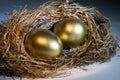 Golden Nest Egg