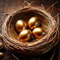 Golden nest egg, golden eggs in birds nest