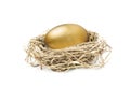Golden nest egg isolated on white