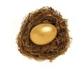 Golden nest egg representing retirement savings