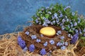 Golden Nest Egg Retirement Fund Concept Royalty Free Stock Photo