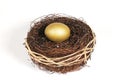 Golden nest egg on white Royalty Free Stock Photo