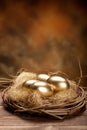 Golden nest eggs Royalty Free Stock Photo