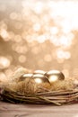 Golden nest eggs
