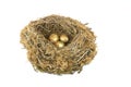 Golden Nest Eggs Royalty Free Stock Photo