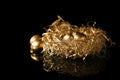 Golden nest with eggs on black background