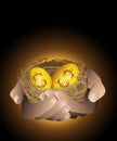 Golden nest eggs in hand Royalty Free Stock Photo