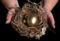 Golden Nest Eggs In Hand Royalty Free Stock Photo