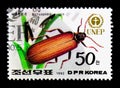 Golden Net-winged Beetle Dictyoptera aurora, Unep - World Environment Day: Flora and Fauna serie, circa 1992