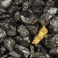 Golden nugget on coals background