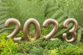 2023 golden numbers on green composition with moss, fern and glitter.