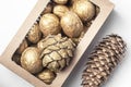 Golden nuts and pine cones in craft box on white