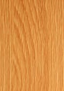 Golden oak veneer