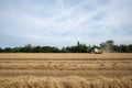 Golden oat or wheat field and working combine harvester tractor during harvesting.