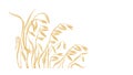 Golden oats. Gathering grains on the field. Sketch Royalty Free Stock Photo