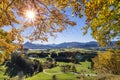 Golden october with beautiful colored beech trees in Bavaria