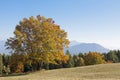 Golden October in the Monte Bondone mountains Royalty Free Stock Photo