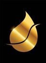 Golden Oil Drop Logo Vector Illustration Royalty Free Stock Photo