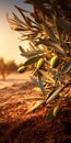 Golden Olive Branch In Sand: Traditional Landscape Fine Art Photography