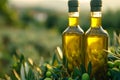 Golden olive oil bottles in rural field with olives under morning sun, ideal banner with text space Royalty Free Stock Photo