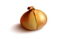 Golden onion