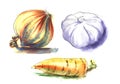 Golden onion, Garlic, orange carrot. Set of three hand drawn watercolor illustration on a textured paper. Isolate on a hite