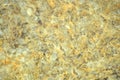 Golden onyx with dark veins, a fragment of a flat surface of a polished natural stone close-up Royalty Free Stock Photo