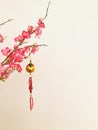 Golden orange, small red firecrackers and red tassel hanging on peach branch. copy space.