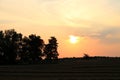 Golden orange sunrise in rural Ontario Royalty Free Stock Photo