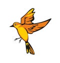 Golden Oriole isolated on white background. One flying bird. Vector flat illustration