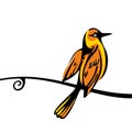 Golden Oriole perched on a branch. Vector color icon