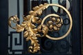 Golden ornament on the Croatian Parliament door