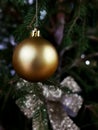 Golden ornaments of Christmas tree