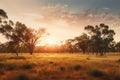 Golden outback Australian landscape.