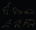 Golden outline set of kangaroo, giraffe, monkey, elephant, lion, hippo