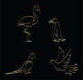 Golden outline set of parrot, macaw, flamingo, penguin, pigeon