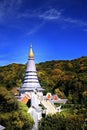 The golden pagoda