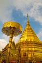 Golden pagoda.Chiang Mai, Thailand