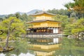 Golden pagoda with green tree and reflection on lake at Kinkakuji Temple in Japan Royalty Free Stock Photo