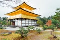 Golden pagoda and tree in the park at Kinkakuji Temple, Kyoto, J Royalty Free Stock Photo