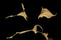Golden paint splash isolated on black background. Royalty Free Stock Photo