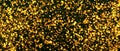 Golden particles shining dust bokeh glitter awards abstract background. Royalty Free Stock Photo