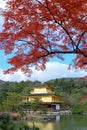 Golden Pavilian at Kinkakuji Temple with red maple leaves Royalty Free Stock Photo