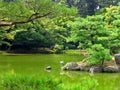 Golden Pavilion Royalty Free Stock Photo