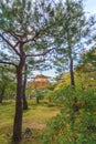 Golden Pavilion Kinkakuji Temple in autumn season at Kyoto Royalty Free Stock Photo