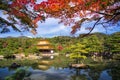 Golden Pavilion at Kinkakuji Temple at fall