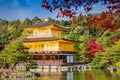 Golden Pavilion Kinkakuji Temple Royalty Free Stock Photo